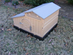 Product image: SnapLock Formex compact plastic chicken coop