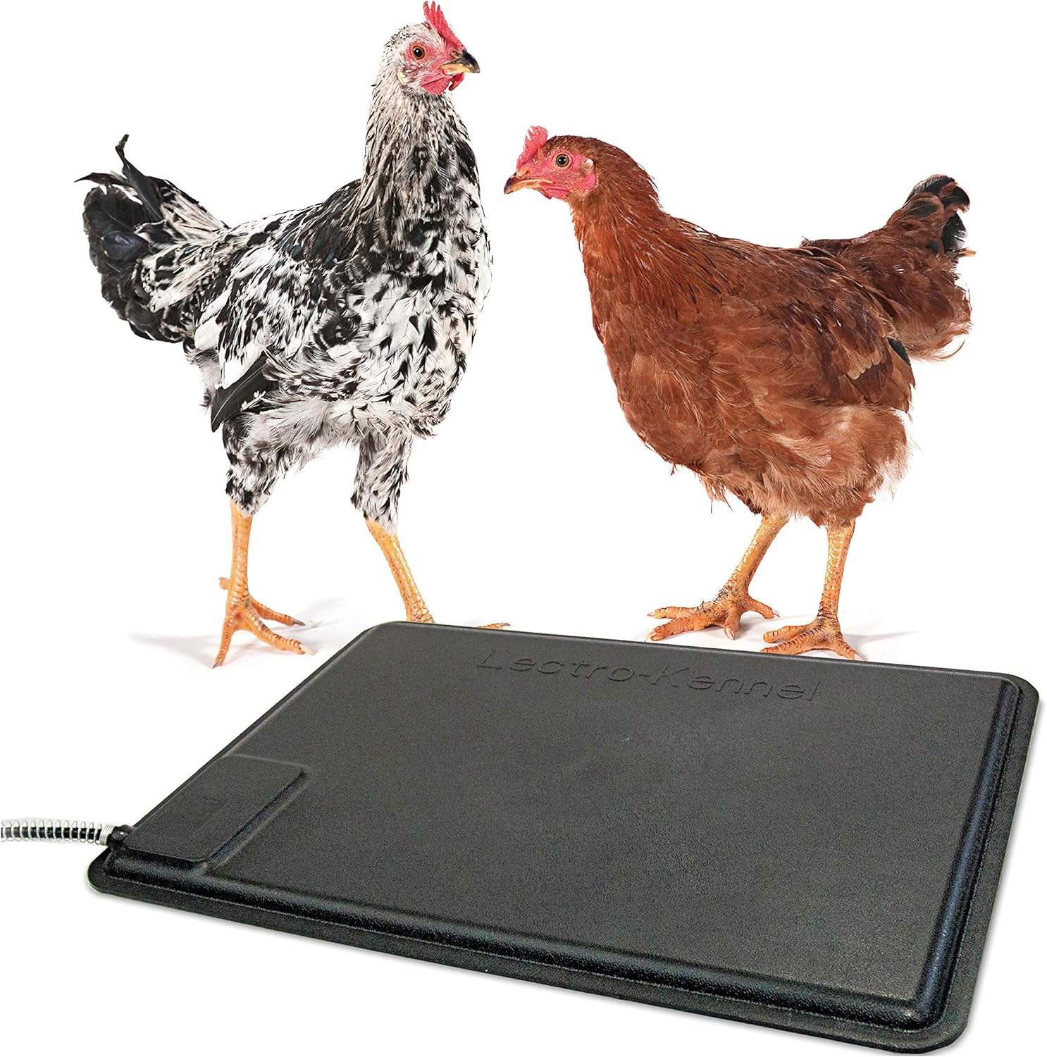 Product image: K&H Thermo-Peep heated coop pad